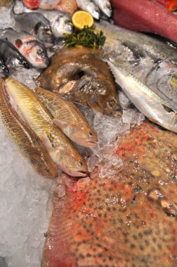 Hong Kong, Çin - 8 Eylül 2015: Lezzetli deniz ürünleri bol güzel deniz ürünleri ticaret fuarında Hong Kong görüntülenir