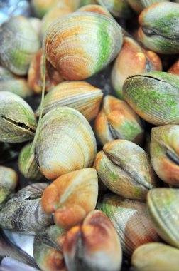 Hong Kong, Çin - 8 Eylül 2015: Lezzetli deniz ürünleri bol güzel deniz ürünleri ticaret fuarında Hong Kong görüntülenir