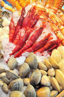 Hong Kong, Çin - 8 Eylül 2015: Lezzetli deniz ürünleri bol güzel deniz ürünleri ticaret fuarında Hong Kong görüntülenir