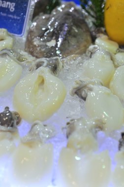 Taze deniz ürünleri sunulmaktadır Vietnam bir deniz ürünleri fuarında