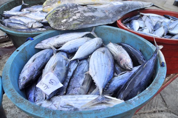 General Santos, Philippines - September 5, 2015: Tuna are being landed at the seaport to transfer to the factory — Stock Photo, Image