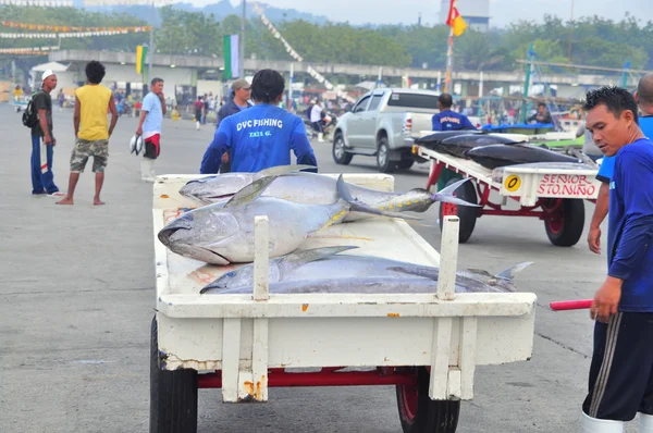 General Santos, Philippines - September 5, 2015: Fisherman are landing tuna from fishing boat at the seaport — Stock Photo, Image