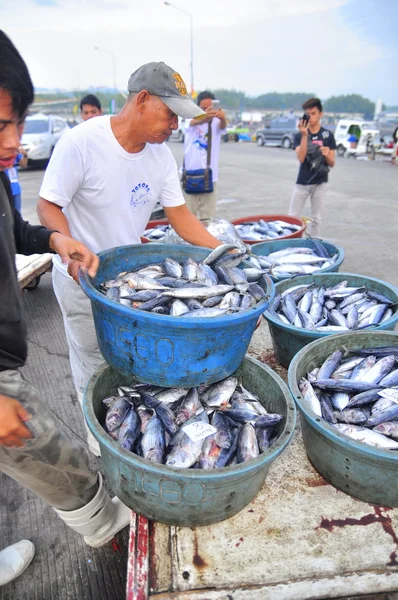 Генерал Сантос, Филиппины - 5 сентября 2015 г.: Рыбак высаживает тунца с рыболовного судна в морском порту — стоковое фото
