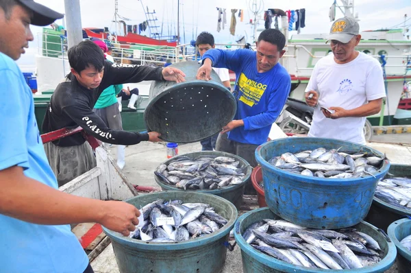 General Santos, Filipinas - 5 de septiembre de 2015: Los pescadores desembarcan atún de un barco pesquero en el puerto — Foto de Stock