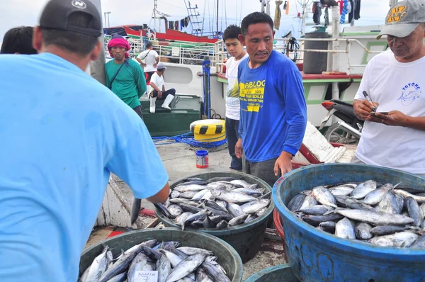 General Santos, Philippines - September 5, 2015: Fisherman are landing tuna from fishing boat at the seaport — Stock Photo, Image