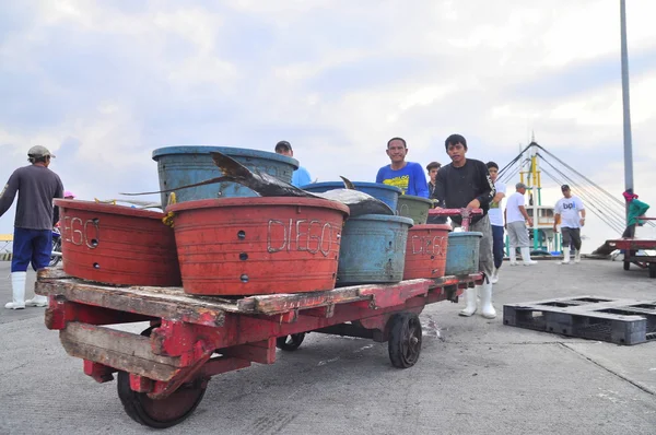 General Santos, Philippines - September 5, 2015: Fisherman are landing tuna from fishing boat at the seaport — Stock Photo, Image