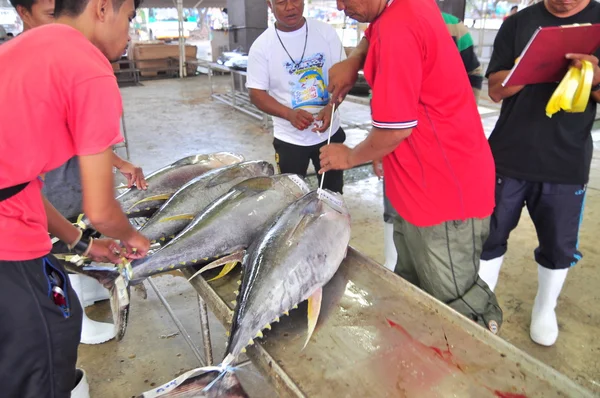 General Santos, Philippines - September 5, 2015: Buyers are checking the quality of tuna at the seaport — Stock Photo, Image