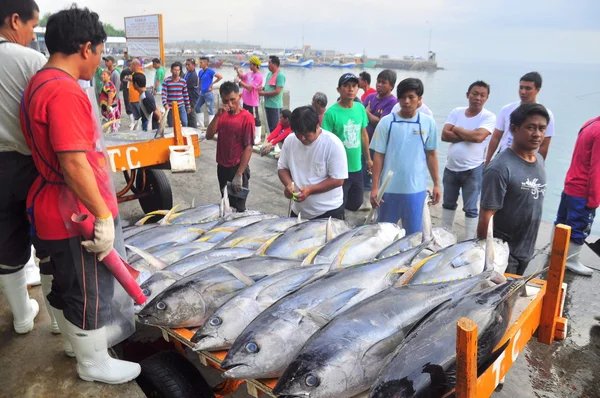 General Santos, Philippines - September 5, 2015: Buyers are checking the quality of tuna at the seaport — Stock Photo, Image