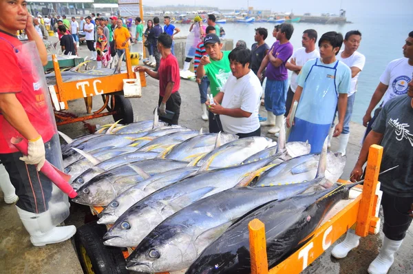 General Santos, Filipinas - 5 de setembro de 2015: Compradores estão verificando a qualidade do atum no porto — Fotografia de Stock