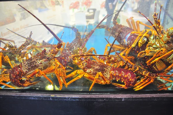 Hong Kong, Chine - 8 septembre 2015 : Beaucoup de délicieux homards sont exposés magnifiquement lors d'un salon des fruits de mer à Hong Kong — Photo