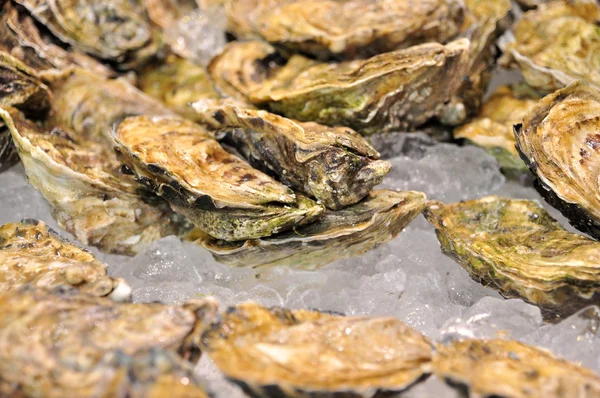 Hong Kong, China - 8 de setembro de 2015: Muitos frutos do mar deliciosos são exibidos lindamente em uma feira de frutos do mar em Hong Kong — Fotografia de Stock