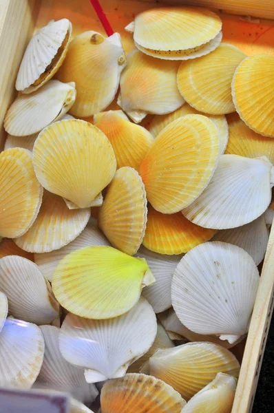 Hong Kong, China - 8 de setembro de 2015: Muitos frutos do mar deliciosos são exibidos lindamente em uma feira de frutos do mar em Hong Kong — Fotografia de Stock