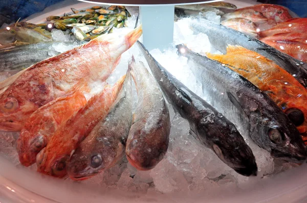 홍콩, 중국-2015 년 9 월 8 일: 맛 있는 해산물 많이 아름 답게 홍콩에서 해산물 무역 박람회에 표시 됩니다. — 스톡 사진
