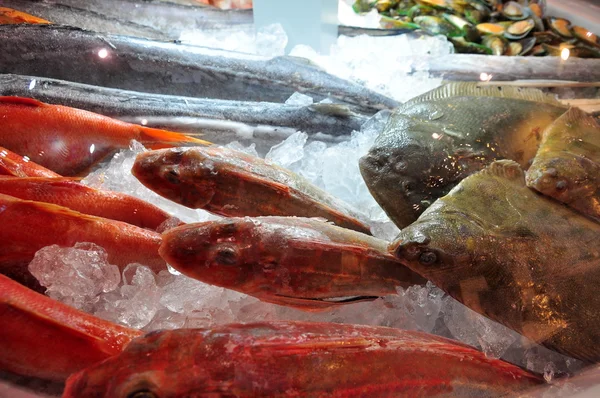 Hong Kong, China - 8 de setembro de 2015: Muitos frutos do mar deliciosos são exibidos lindamente em uma feira de frutos do mar em Hong Kong — Fotografia de Stock