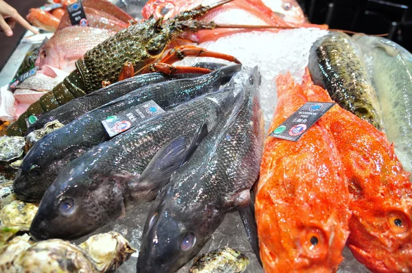 Hongkong, Kina - 8 September 2015: Massor av läckra skaldjur visas vackert på en skaldjur mässa i Hong Kong — Stockfoto