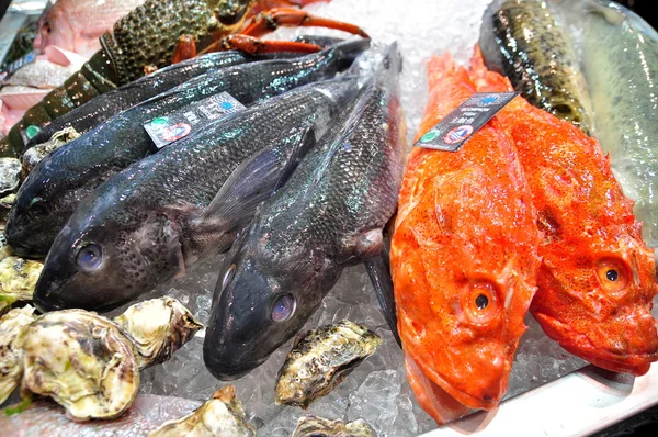 Hong Kong, Chine - 8 septembre 2015 : Beaucoup de délicieux fruits de mer sont exposés magnifiquement lors d'un salon des fruits de mer à Hong Kong — Photo