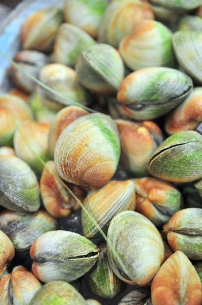 Hong Kong, China - 8 de septiembre de 2015: Un montón de deliciosos mariscos se exhiben maravillosamente en una feria de mariscos en Hong Kong — Foto de Stock