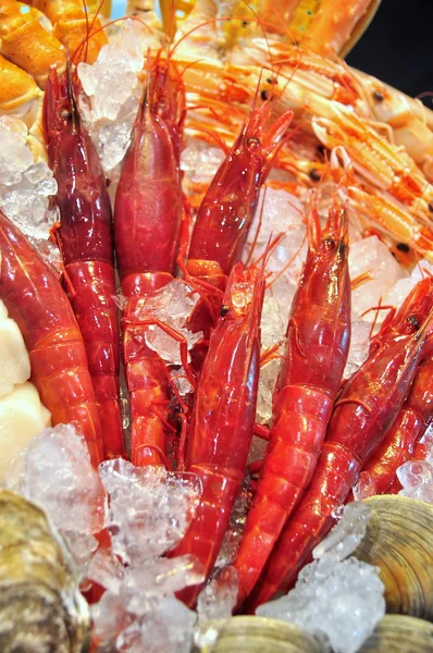 Hong Kong, China - 8 de setembro de 2015: Muitos frutos do mar deliciosos são exibidos lindamente em uma feira de frutos do mar em Hong Kong — Fotografia de Stock