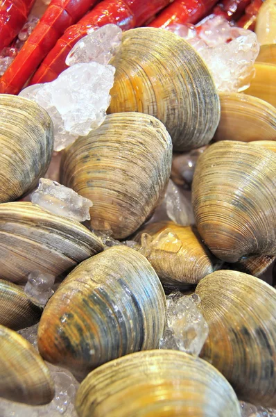 Hong Kong, China - 8 de setembro de 2015: Muitos frutos do mar deliciosos são exibidos lindamente em uma feira de frutos do mar em Hong Kong — Fotografia de Stock