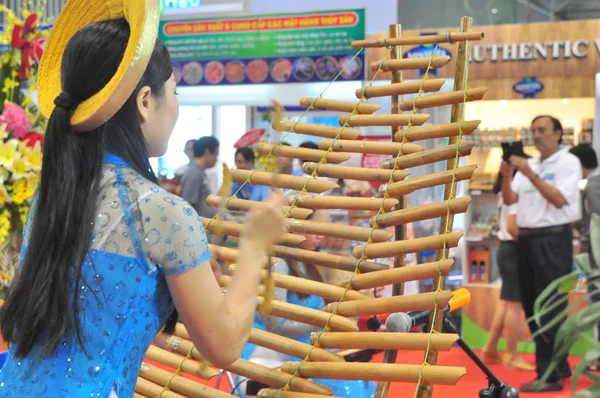 An artist is performing a traditional music instrument of Vietnam at an event — Stock Photo, Image