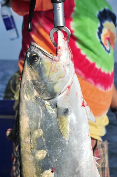 Eople are fishing for entertainment in Vietnam — Stock Photo, Image