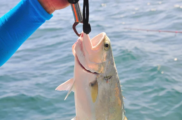 Fishing queenfish by hook for entartainment in Vietnam — Stock Photo, Image