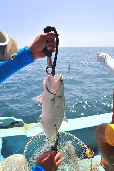 Pesca Queenfish da gancio per entartainment in Vietnam — Foto Stock