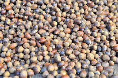 Vietnam yerel bir pazarda Satılık nutshells vardır