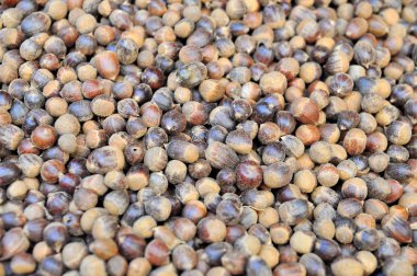 Vietnam yerel bir pazarda Satılık nutshells vardır