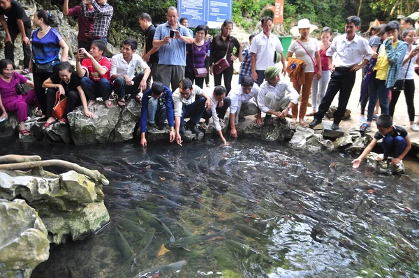 Människor är önskar lycka från vietnamesiska Gud fisk i den Gud ström av Cam Luong i Thanh Hoa province — Stockfoto