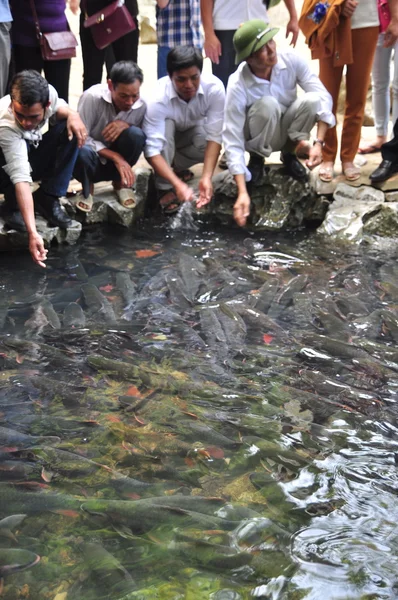 People are wishing good luck from the Vietnamese God fish in the God stream of Cam Luong in Thanh Hoa province — Stock Photo, Image