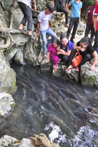 People are wishing good luck from the Vietnamese God fish in the God stream of Cam Luong in Thanh Hoa province — Stock Photo, Image