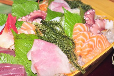 Bir tekne suşi ton balığı, somon, yeşil havyar ve ahtapot