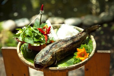 ızgara yılan kafa balık