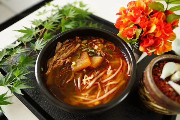 Hongseong яловичина суп, розроблений на основі академічних обмінів і СП — стокове фото
