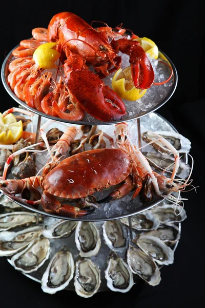 Zeevruchten buffet met kreeft, oesters, krabben en mantis garnalen op — Stockfoto