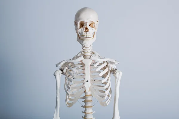 Ramka bone biały ciało człowieka na białym tle — Zdjęcie stockowe