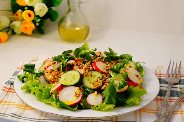 Spring salad with mustard oil, cucumber, lettuce, radish and her — Stock Photo, Image