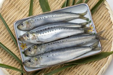 Fresh raw sardine capelin fish on bamboo tray with green leaf clipart