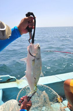 Queenfish kanca ve balık ağı