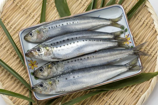 Taze çiğ sardalya capelin balık bambu tepsi yeşil yaprak — Stok fotoğraf