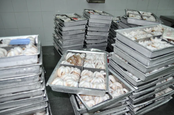 Octopus raw material is ready to be frozen in tray in a seafood factory in Vietnam — Stock Photo, Image