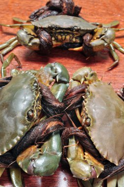 Mekong delta çanak üzerinde gelen Yengeç