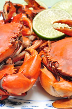 Mekong delta çanak üzerinde gelen Yengeç