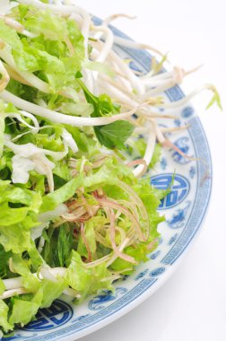 Beyaz bir arka plan üzerinde Vietnamca otlar çanak