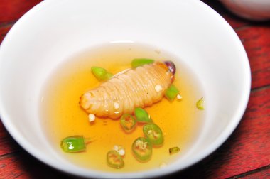 Kırmızı palmiye Weevil Larva veya Hindistan cevizi solucan veya Duong dua veya sago solucan (Rhynchophorus ferrugineus) Vietnam