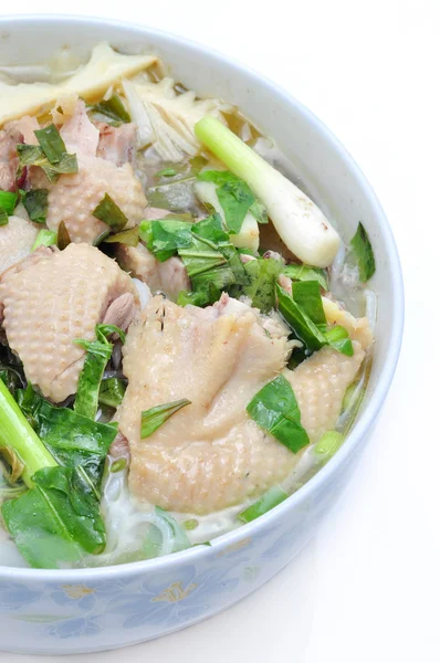 Bun Mang Vit o Vermicelli de arroz vietnamita con brotes de bambú y ensalada de pato — Foto de Stock