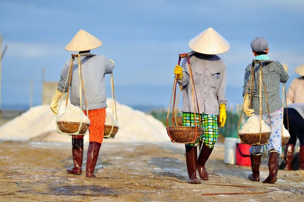 Arbeiterinnen sammeln Salz von den Gewinnungsfeldern zum Speicher — Stockfoto