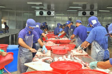 Vietnam işçi pangasius balık işleme tesisi mekong Deltası'nda deniz ürünleri filleting