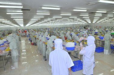 Tien Giang, Vietnam - March 2, 2013: Workers are working in a seafood processing plant in Tien Giang, a province in the Mekong delta of Vietnam